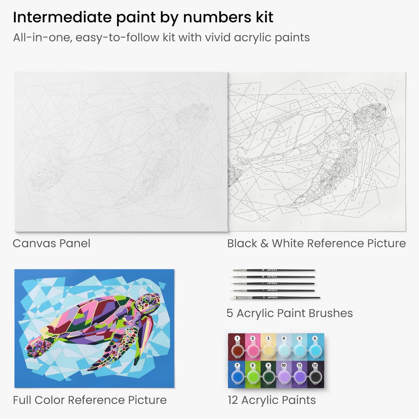 Arteza Paint by Numbers, Sea Turtle - Intermediate Level Kit