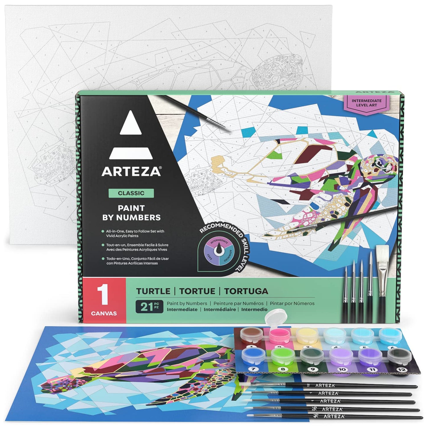 Arteza Paint by Numbers, Sea Turtle - Intermediate Level Kit